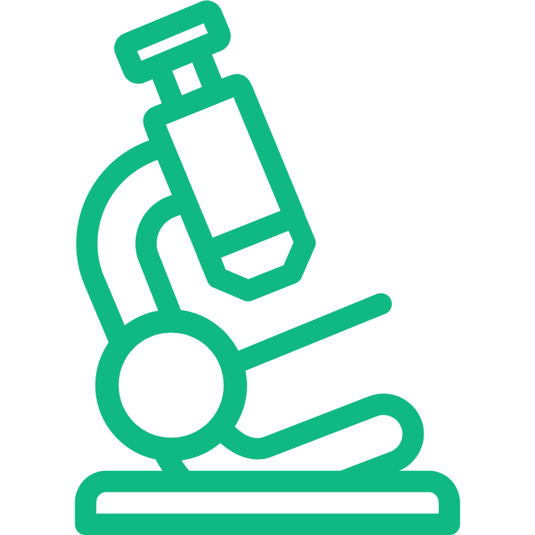 Step 3: Research Stocks and Analyze Portfolio
